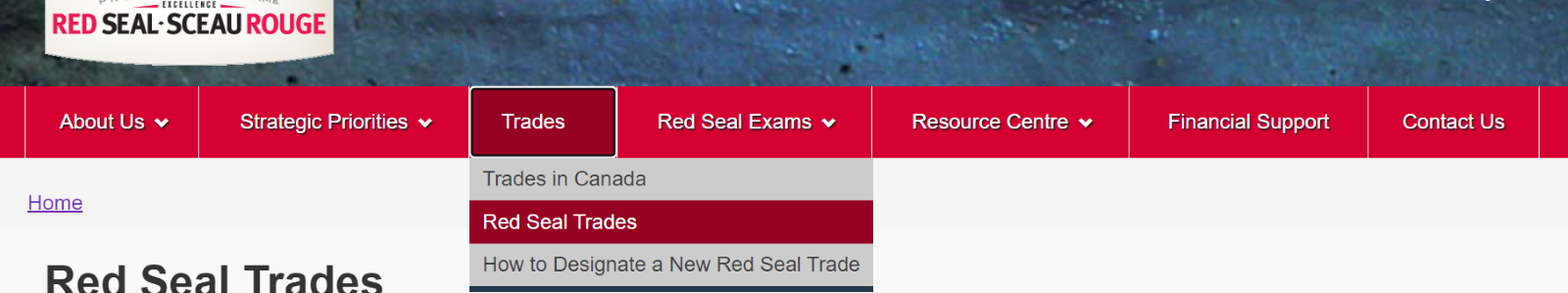 A screenshot of the red seal website