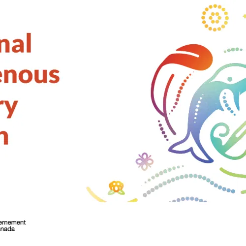 graphic that says National Indigenous History Month